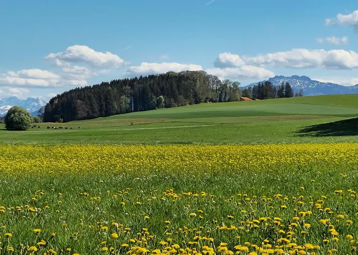 Nusseckerl Eberloh Apartamento Halfing
